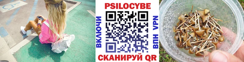 Купить где  Мураши  Псилоцибиновые грибы прущие грибы 